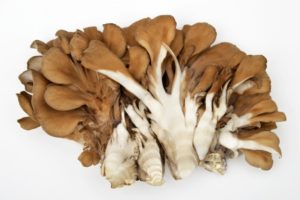 朝まいたけダイエットの栄養やメカニズムは？口コミと簡単レシピも紹介