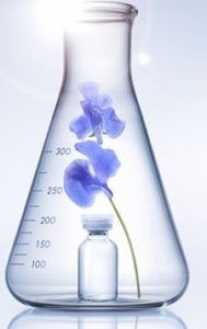 ファンケルのクリスマスコフレ2019の予約販売日は？通販と口コミも調査！