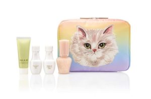 ポール＆ジョー2020ポーチ付きトラベル春コスメセットの予約通販や口コミ